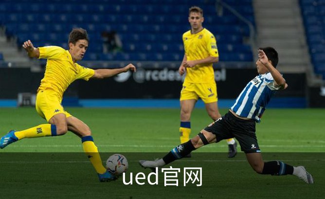 ued官网概况